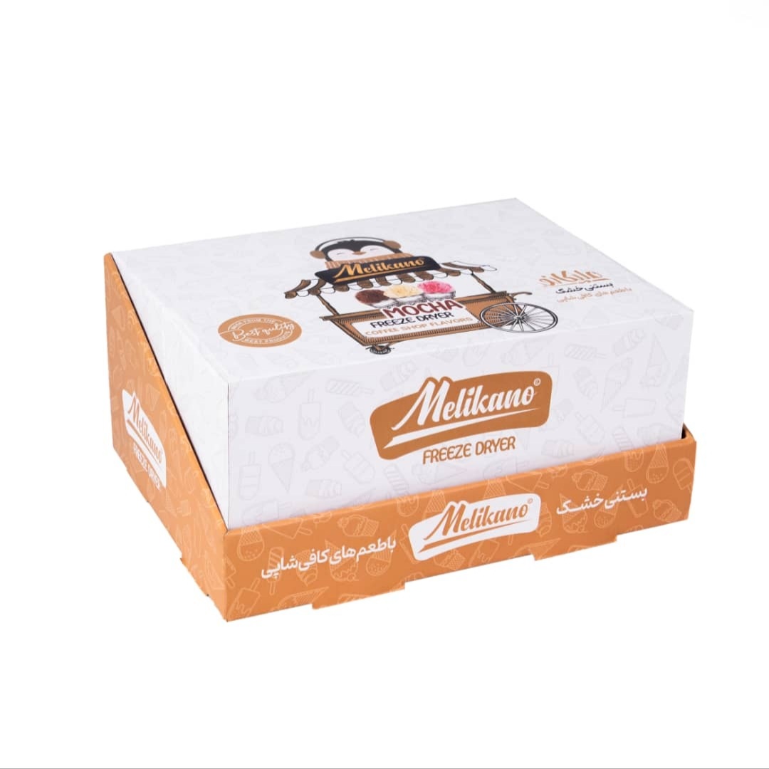 Freeze dried ice cream (Mocha pack)