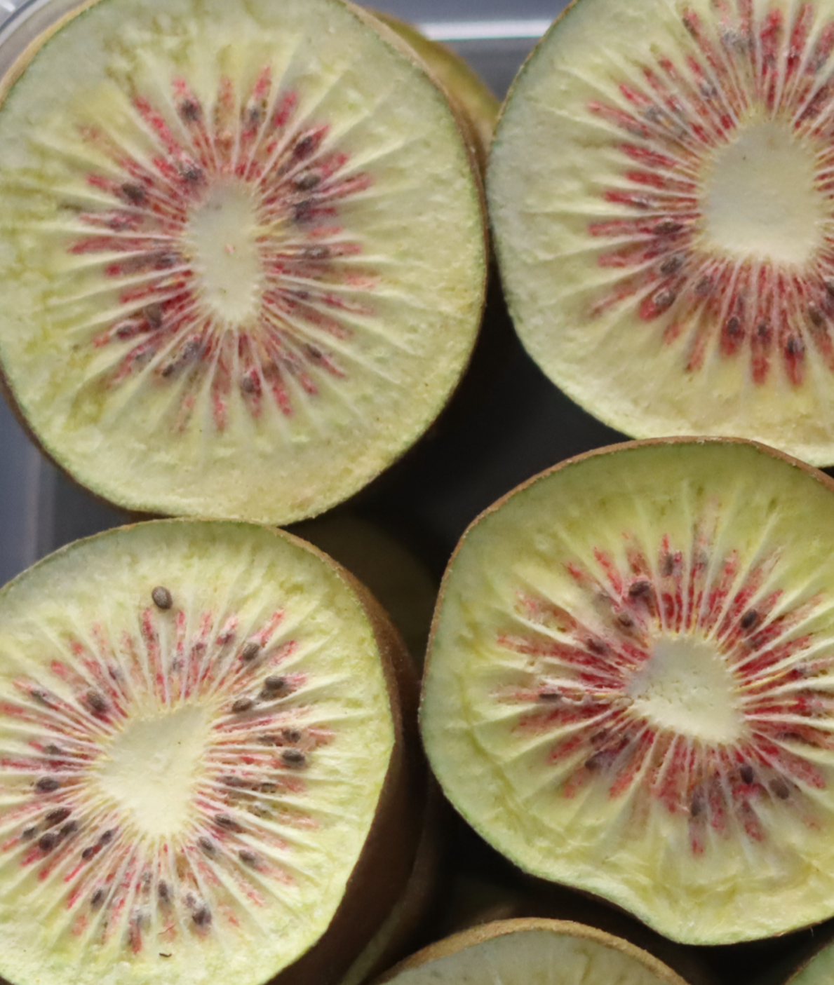 Freeze dried Red Kiwi