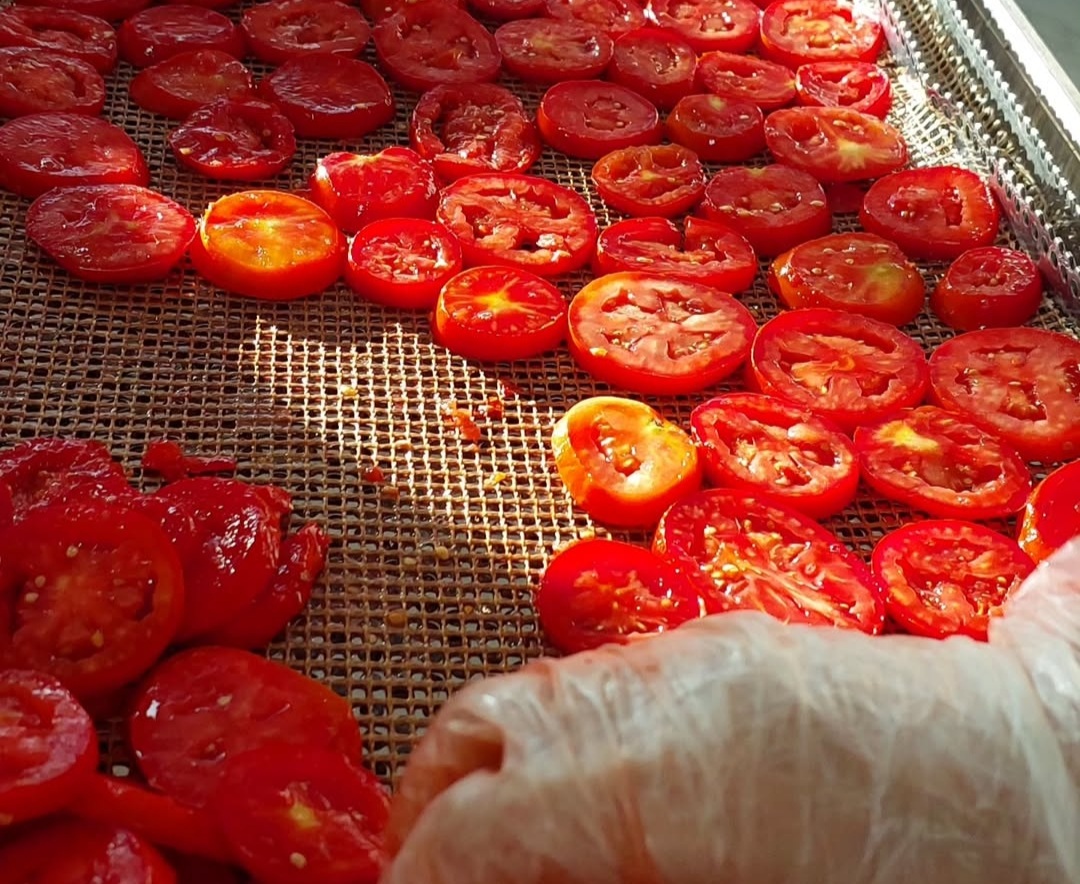 Dried Tomato