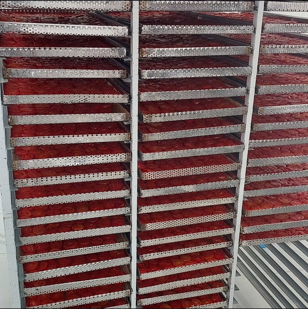 Dried Tomato